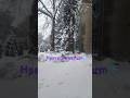 Heavy Snowfall Day🥶❄️#torontolife #shorts #shortsvideo #viral #canada #snowstorm2022