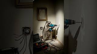 A raccoon using a power drill ai cute raccoon