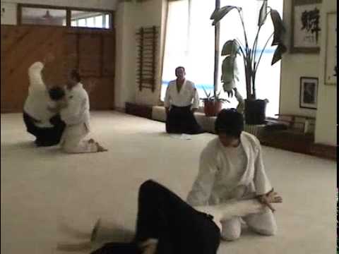 My journey thus far - Aikido test compilation