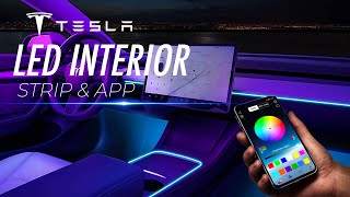 Tesla Model 3 Accessories - Interior LED Light Strip & App #2023 #Tesla