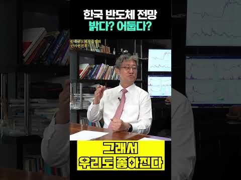 한국 반도체 전망 밝다 어둡다 