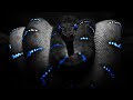 🔴PET REVEAL🔴🐍😮