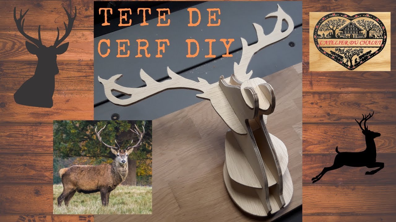 Tête de Cerf en 3D : Décoration et Création