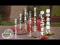 LINEで送れる♪暑中見舞いのメッセージ動画（スイカ）