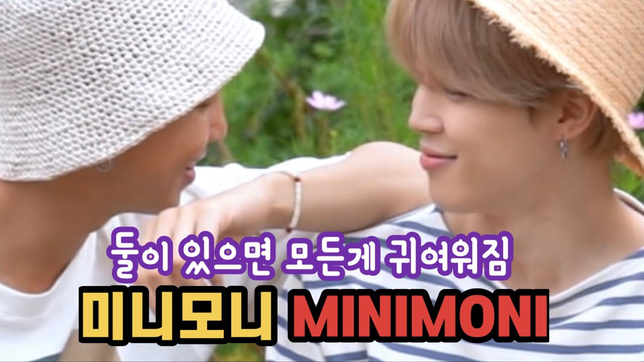 [방탄소년단/남준/지민] 공기의 흐름이 귀여움으로 바뀌는 미니모니 / MINIMONI MOMENTS / RM / JIMIN
