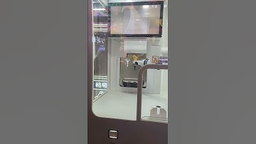 Panda Ice Cream Robot Arm Vending Machine in Suzhou China