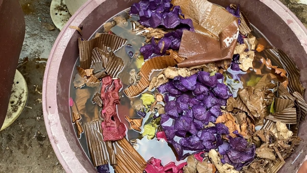 Alimento de lombriz roja californiana con cartón como base y residuos frescos