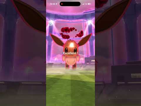 ポケモンGO エクセレントスロー　イーブイ　ダイマックス #pokemongo #excellent #ポケモンgo #pokemon #ポケモン