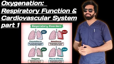 Oxygenation: Respiratory Function &  Cardiovascular System part 1