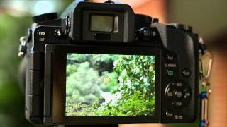 DFD Focus test