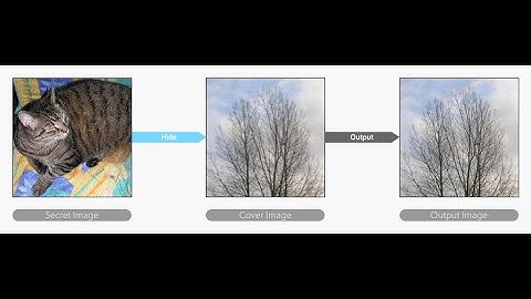 Hiding Images In plain sight: Deep Steganography
