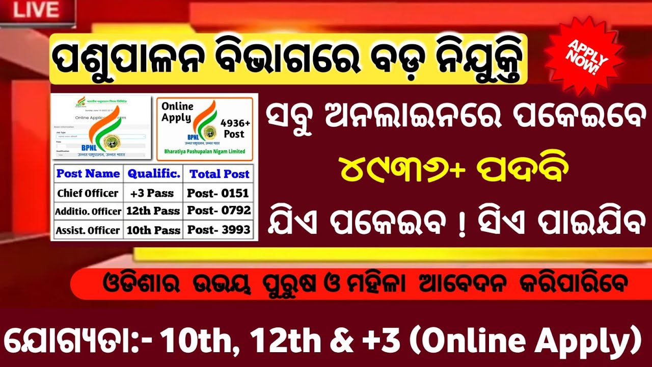 ଆସିଲା ପଶୁପାଳନ ଅଫିସରେ ନିଯୁକ୍ତି/Total Post- 4,936/10th pass jobs/Odisha job updates/Job vacancies 2022