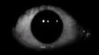 Corpse Dance // •Meme• // Sister Location // -FNAF- // TW ⚠️ // (Read Descriptions)
