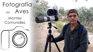 Fotografía de Aves al Rececho -  Montes Comunales. Adamuz - Cap. 26