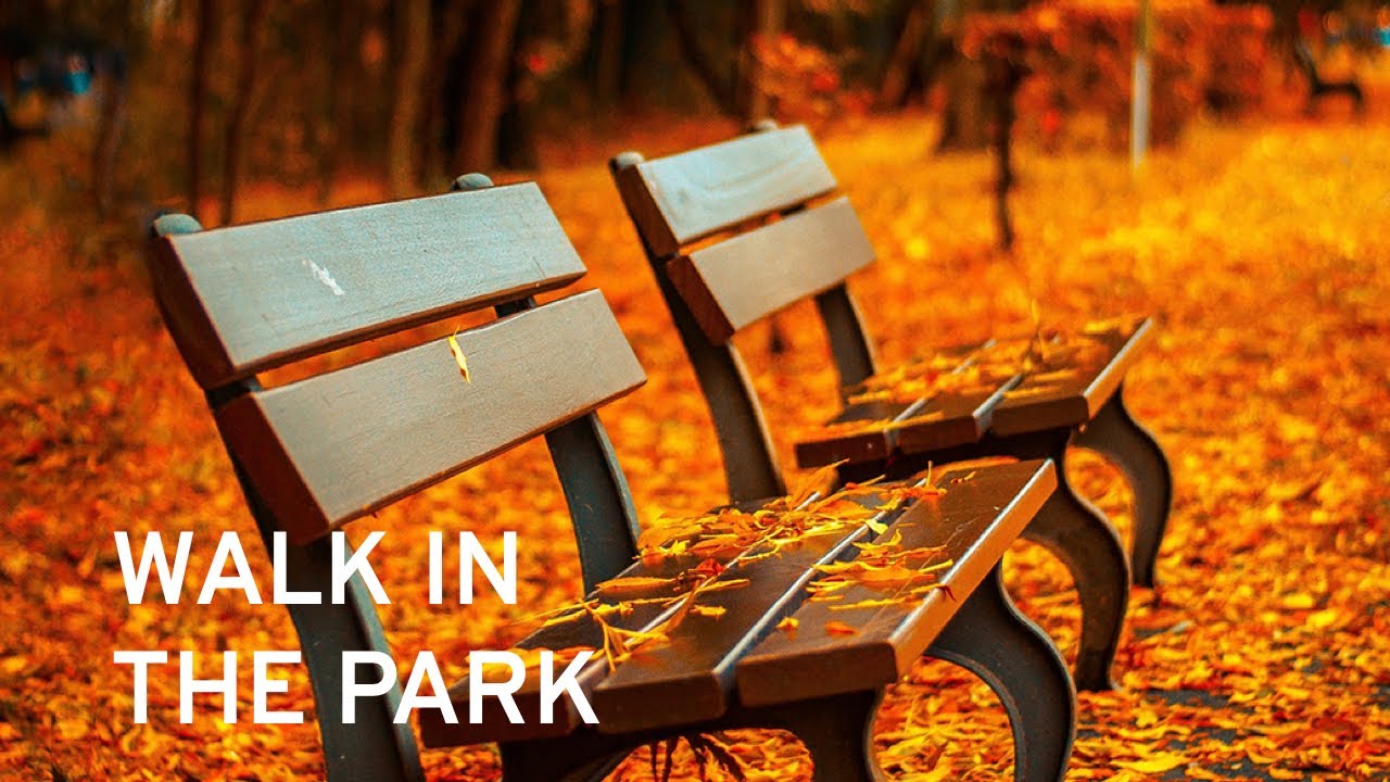 Walk in the Park: Level 3 - Journey 14 (30 sec trailer) - YouTube