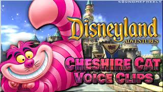 All Cheshire Cat Voice Clips • Disneyland Adventures for Kinect • Voice Lines • 2011 (Jim Cummings)