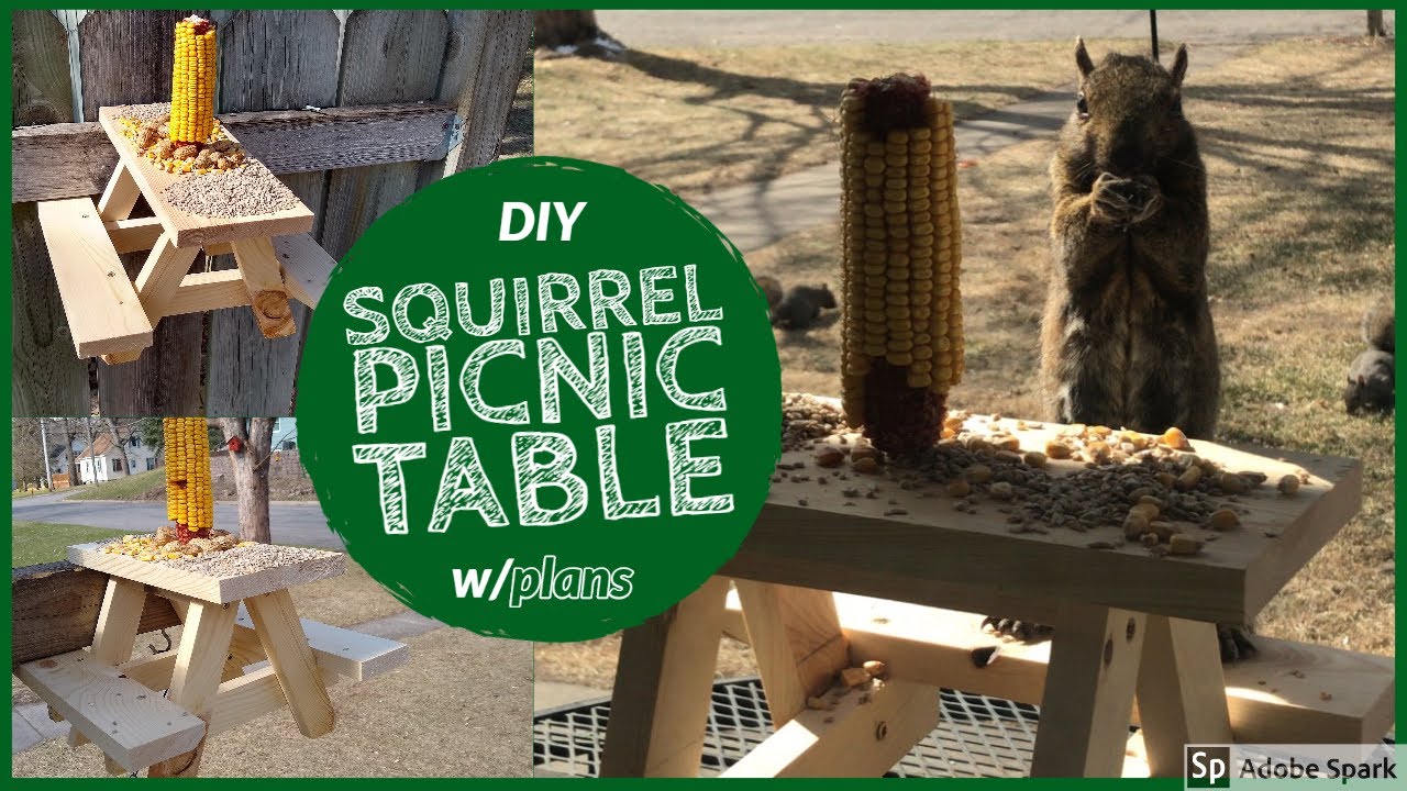 diy squirrel picnic table w/plans - youtube