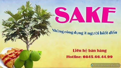 SAKE 😍 Những công dụng tuyệt vời 😍 Thế Giới Cây Giống Cai Lậy | 0845.66.44.99