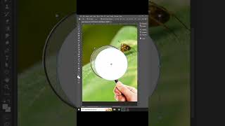 Magnifier Photoshop Trick - Photoshop for beginners #shorts #photoshop
