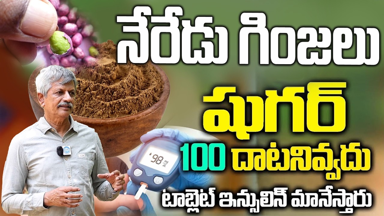 నేరేడుగింజలు దీనితో కలిపితాగితే షుగర్ 100 దాటనేదాటదు| Diabetes Control | jamun seed| Dr Anjaneyaraju