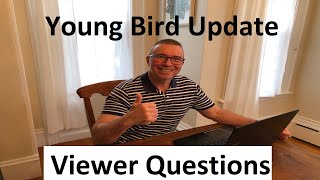 Young Bird Update!  Viewer Questions Answered