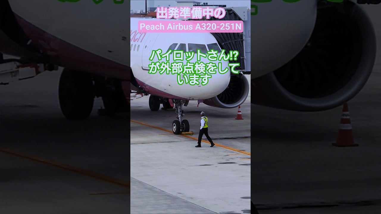 【ショートグラハン動画】🍈関西に向けて出発準備中のPeach Airbus A320-251N/パイロットさん⁉が外部点検をしています/いつもグランドハンドリングありがとうございます!