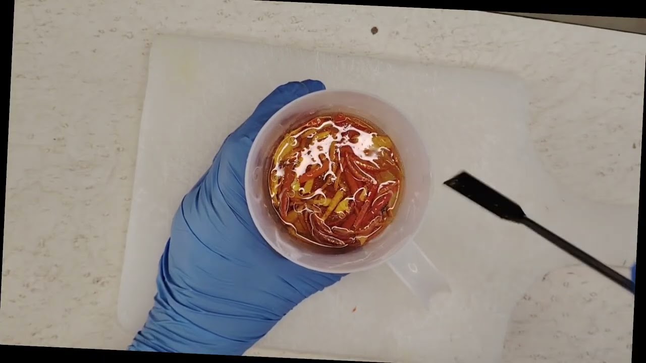 Alegre Transparencia