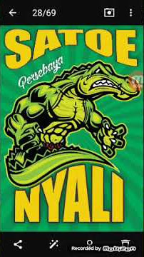 Story wa lagu persebaya berlaga