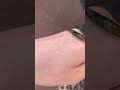 Pet slug