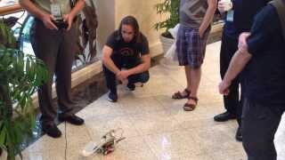 Robot at RubyConf