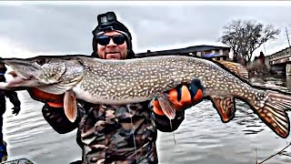 Lake St Clair BIG PIKE and MUSKY | Winter 2023