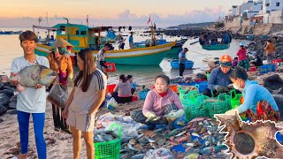 Nơi Hải Sản Lặn Nhiều Nhất Đảo Phú Quý║Thưởng Thức Cá Bò Giáp Cùng Văn Tiên TV