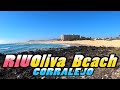 Hotel RIU OLIVA BEACH || Corralejo - Fuerteventura - Canary Islands |4k|