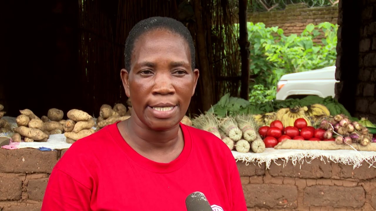 ECHO DREMIAA DOCUMENTARY