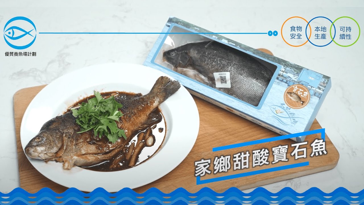 優質養魚場計劃 食譜分享 家鄉甜酸寶石魚優質魚食譜簡單又美味 Youtube