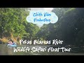 Peñas Blancas River Wildlife Safari Float Tour La Fortuna Review