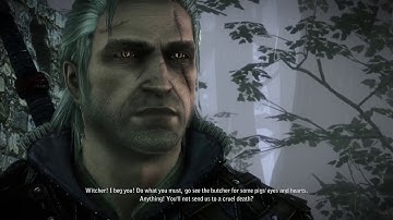 The Witcher 2 In The Claws Of Madness (trick the wraith)