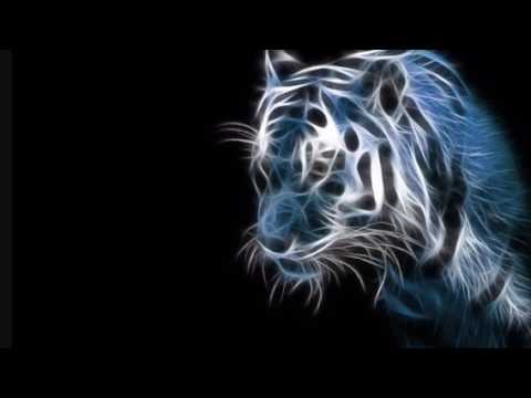 Deception Hdar Music