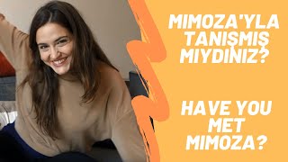 Mimozayla Tanışmış Mıydınız? / Have You Met Mimoza?