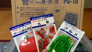 家庭用育苗器 愛菜花（あいさいか）初めての野菜苗の発芽作業！