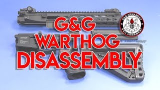 G&G GC16 WartHog 7' Review Raven Airsoft Softair