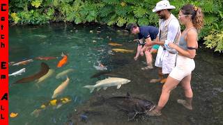 Building $1,000,000 Backyard Pond for New MONSTER FISH!