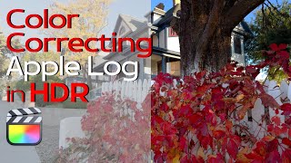 Color Correct Apple Log in HDR @rippleguys