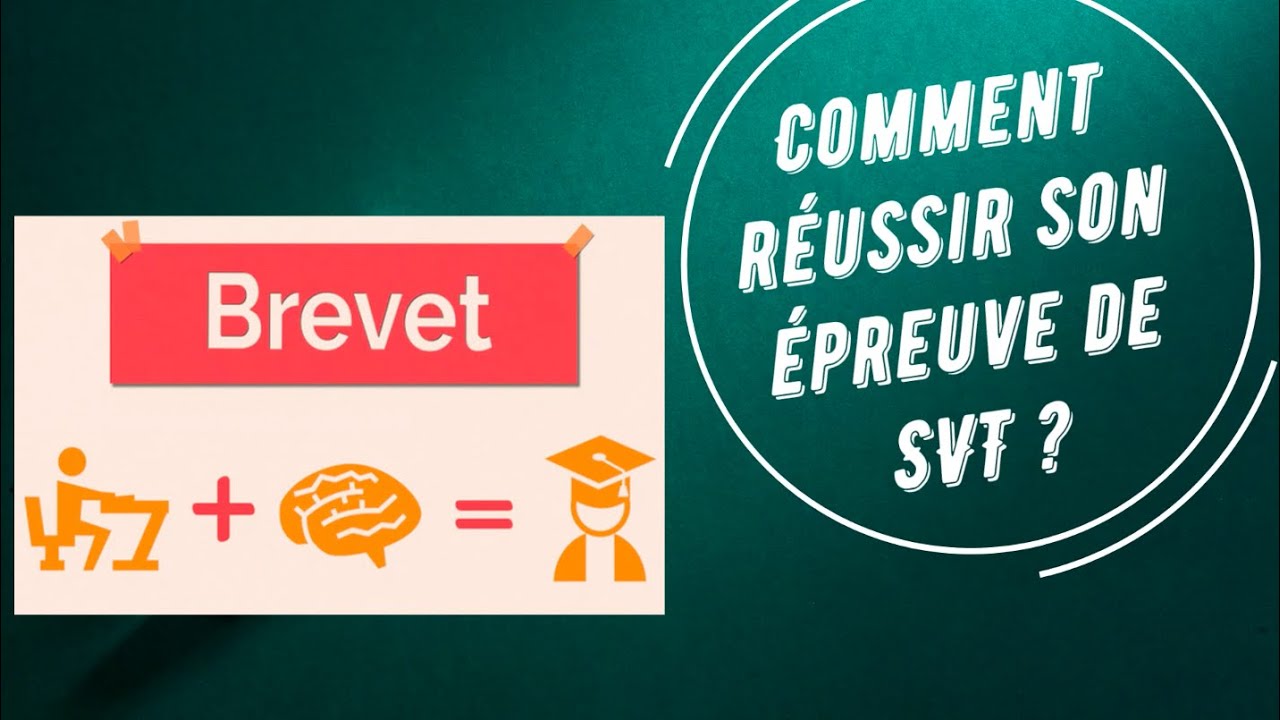 Brevet : Comment réussir son épreuve de SVT ? #sujet d'entrainement n°1