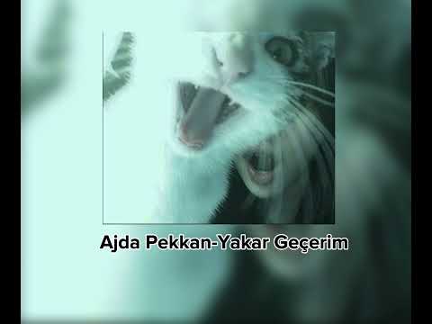 Ajda Pekkan-Yakar Geçerim (Sözleri Açıklamada)