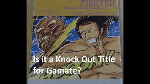 Kung Fu Fighter - Martial Arts Mayhem on Gamate - GameBoy Alternatives