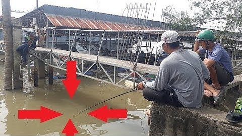 CAO THỦ CÂU CÁ RÔ PHI BẰNG LƯỞI CÂU LỤC | HUYNH KHOA FISHING
