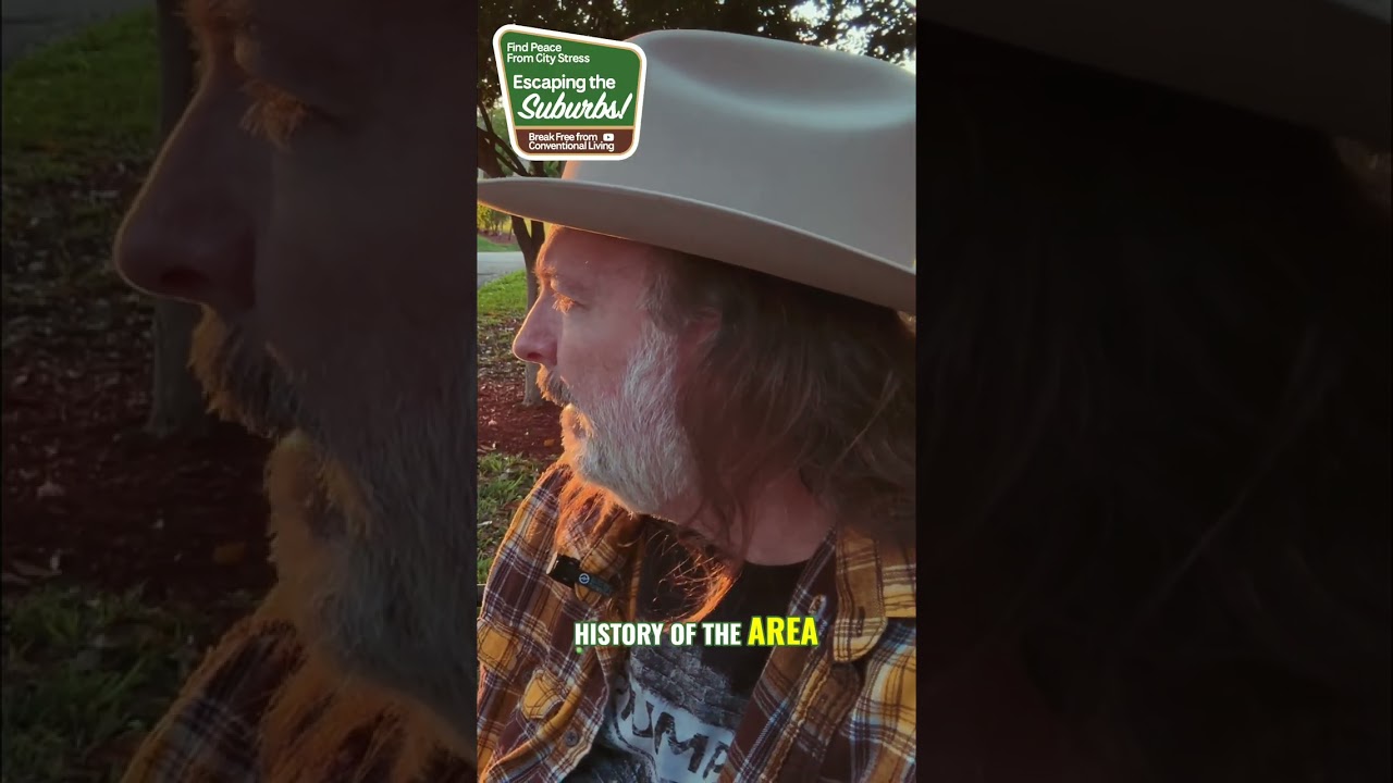 Cozy Park: Free Serenity and History's Hidden Gems 