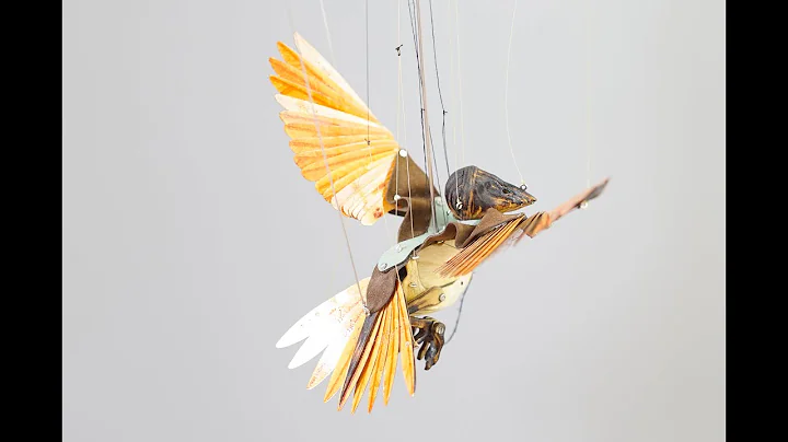 Laura Mathews - Meet the Practitioners Series, Mov...