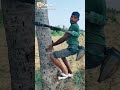 Truco para subir en mata de coco